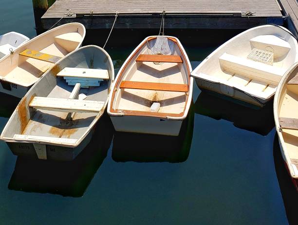 boats in the harbor