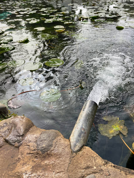 istock Image of pond with water filter pipe, filtration system pumping water back into public garden fish pond with water lily pads after cleaning to prevent stagnation and dirtiness 1477390713