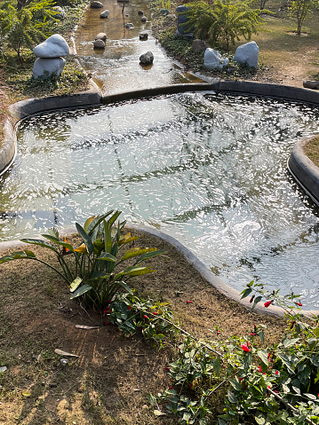 Stock photo of a curved pond in a public garden in India, this pond has an irregular meandering shape with reflections being visible in the water. The park's decorations, including rocks and plants amongst othes are visible in the surroundings.