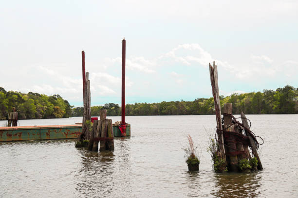 istock Dock in South Carolina 1477392286
