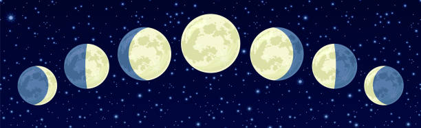 ilustraciones, imágenes clip art, dibujos animados e iconos de stock de fases de la luna contra el cielo estrellado oscuro. fondo espacial. ilustración astrológica de dibujos animados vectoriales para el calendario lunar. - luna creciente