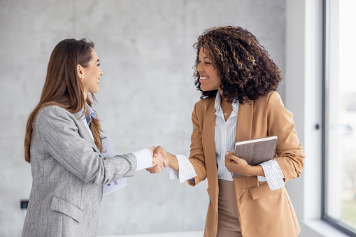 Smiling young african american business woman shaking hands with a client.Handshake.