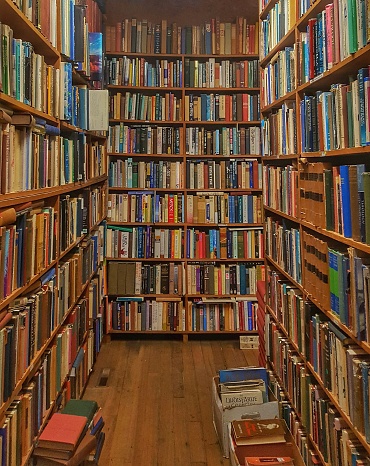 Mid adult man working and reading in his library