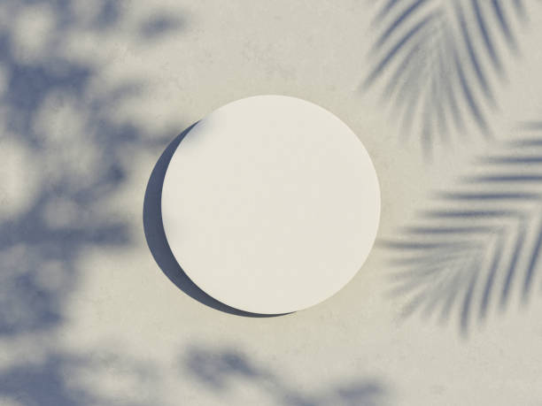 istock 3d render top view of white blank cylinder frame for mock up and display products with shadows of palm leaves with summer background. 1477406383