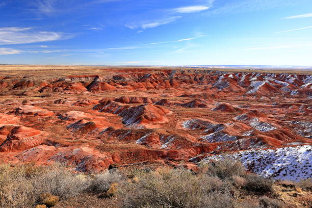istock Petrified Forest National Park, a natural attraction place with many petrified tree trunks and fossils 1477407426