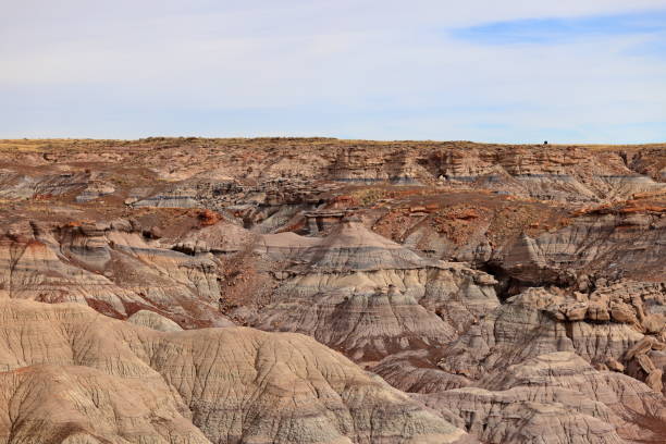istock Petrified Forest National Park, a natural attraction place with many petrified tree trunks and fossils, 1477408078