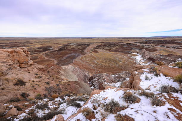istock Petrified Forest National Park, a natural attraction place with many petrified tree trunks and fossils, 1477408330