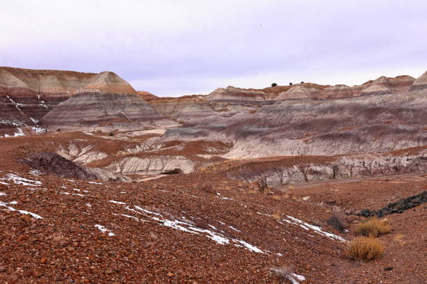 istock Blue Mesa Scenic Trail, Petrified Forest National Park, 1477410899
