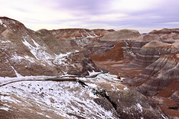 istock Blue Mesa Scenic Trail, Petrified Forest National Park, 1477410980
