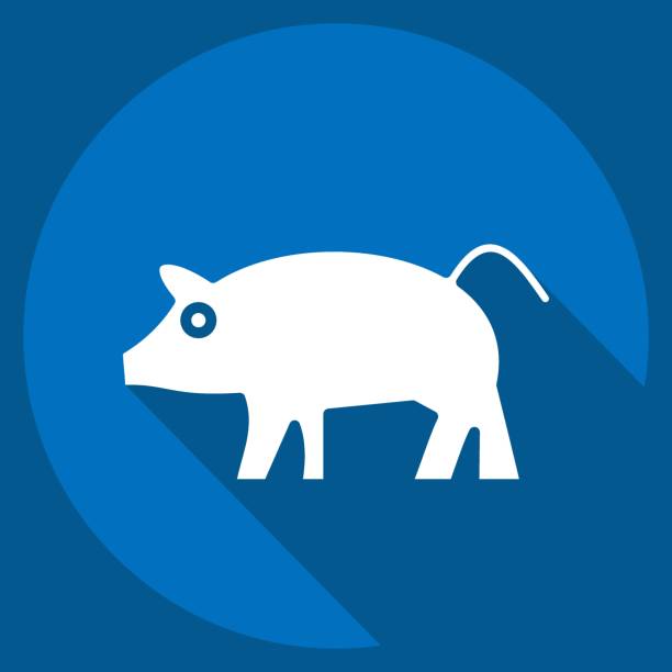 ikona świnia. związane z symbolem zwierząt domowych. prosty projekt edytowalny. prosta ilustracja - piggy bank symbol finance black stock illustrations