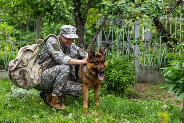 istock military meeting with a dog 1477422327