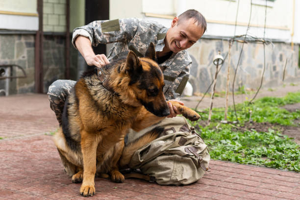 istock military meeting with a dog 1477424511