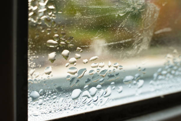 istock Drops of condensation on the window close-up. Humidity and temperature difference between the street and the room 1477424850