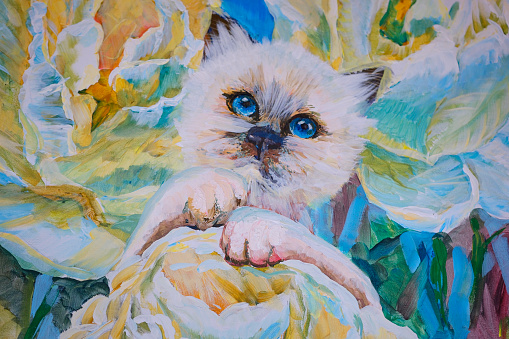 drawing of white cat with blue deep eyes on a background of flowers beige blue turquoise color prevail in the drawing picture on the wall drawing with watercolors oil paints