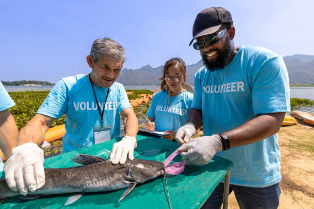 ein team von ökologen zieht freiwillig nicht biologisch abbaubares mikroplastik von der gefährdeten fischart aufgrund des unverantwortlichen mülls in den ozean für den klimawandel und die rettung der natur - artenschutz stock-fotos und bilder