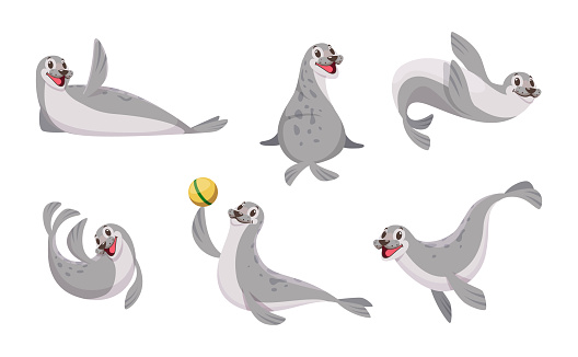 Sea animals. Polar Seal in action poses Antarctic wild animal exact vector cartoon set of seal polar, sea wildlife character, antarctic mascot adorable illustration