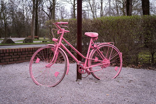 pink ladies bicycle against a pole
