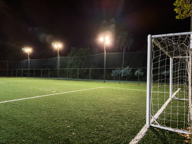 campo da calcio con illuminazione e cielo notturno - lega di calcio foto e immagini stock