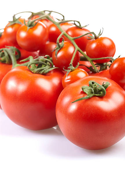 tomatoes stock photo