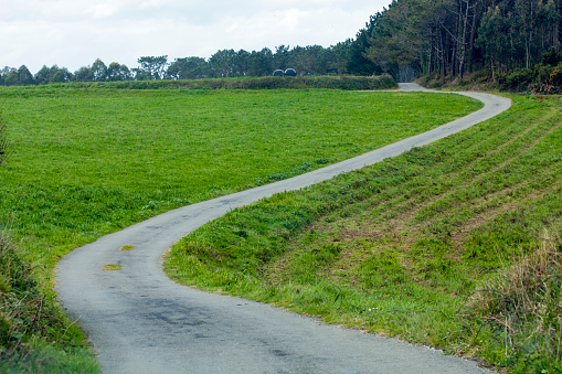 Winding country road, green meadows and forest. Mondoñedo, A Mariña, Lugo province, Galicia, Spain.