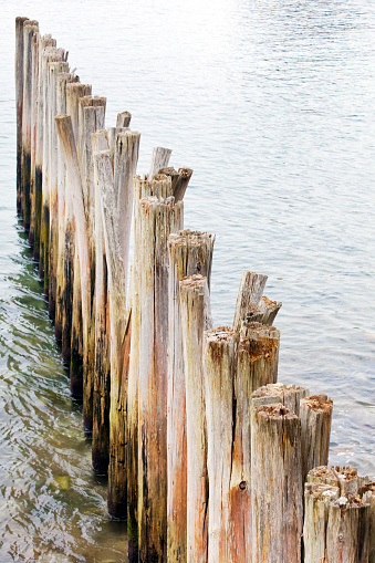 Row of stakes, wooden breakwater, sea water background.  Cudillero harbor, Asturias, Spain.