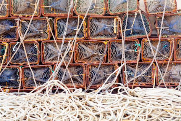 Heap of fishing net baskets and ropes on a harbor dock. Full frame view suitable for background purposes. Viavélez, Asturias, Spain.