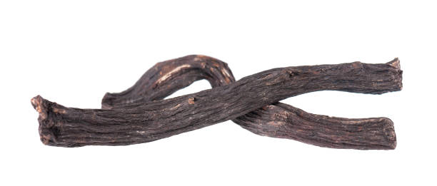 istock Common comfrey root isolated on white background. Dry roots of Symphytum officinale. 1477476041