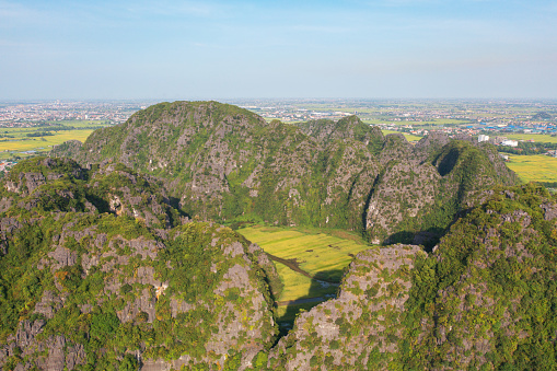 Aerial top view of fresh paddy rice, green agricultural fields with mountain hills valley in countryside or rural area of Ninh Binh, in Asia, Vietnam. Nature landscape background.