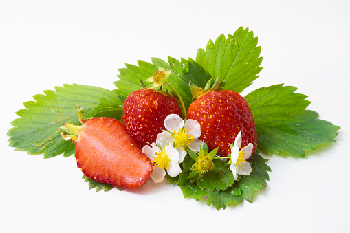 Flower, Strawberry, fruit, Beauty