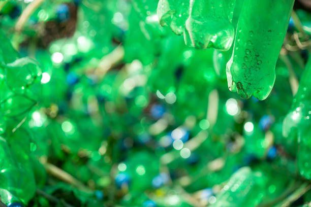 Green plastic bottle on the beach