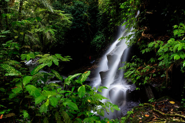 istock Waterfall of Kanto Lampo Waterfall 1477480787