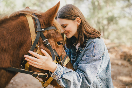 A young woman hugging a horse. Friendship between human and animal.