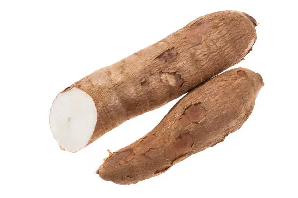 Cassava Raw Tuber - Manihot Esculenta; On White Background