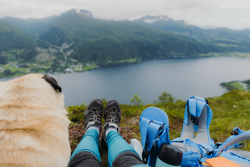 Personal Perspective of female with her cute dog relaxing on top of the mountain contemplating scenic view of summer fjord in Western Norway
