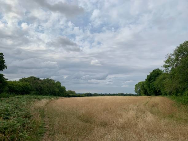 istock The great British countryside. 1477487649