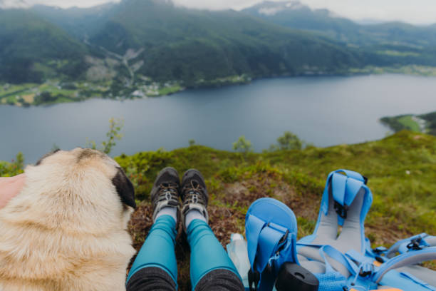 istock Enjoying Summer Outdoors in Norway 1477487800