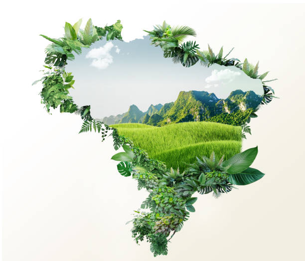 istock Brazil map with abstract beautiful nature, amazon jungle design, empty space in middle of jungle, 3d illustration of landscape advertisement. 1477495062