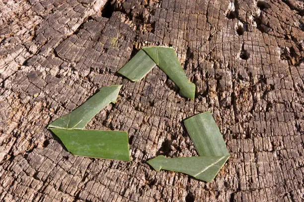 Photo of Recycling symbol made of green leaves placed on a wooden background. A symbol with three arrows representing reducing, reusing, and recycling.