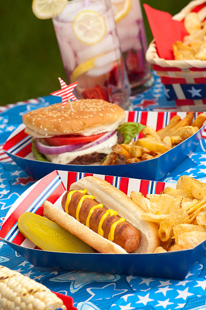 istock Picnic on 4th of July 147750518