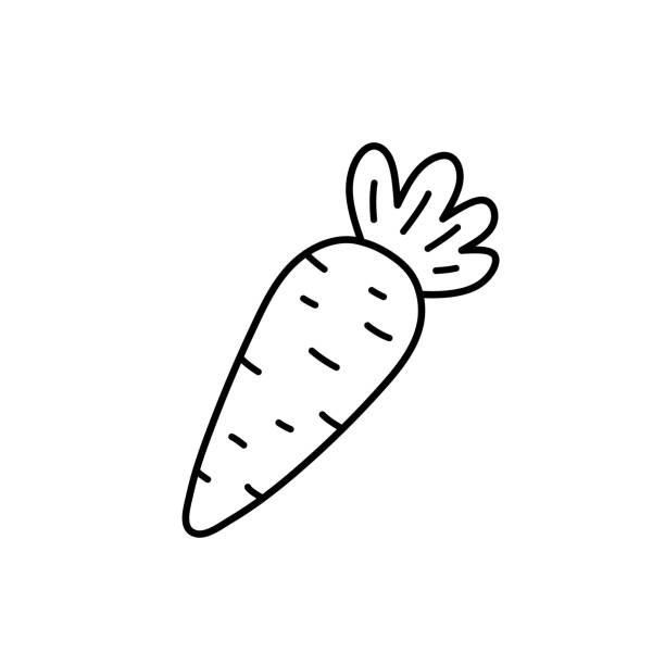 Cute carrot isolated on white background. Vector hand-drawn illustration in doodle style. Perfect for holiday designs, cards, logo, decorations, recipes. Cute carrot isolated on white background. Vector hand-drawn illustration in doodle style. Perfect for holiday designs, cards, logo, decorations, recipes. carotene stock illustrations