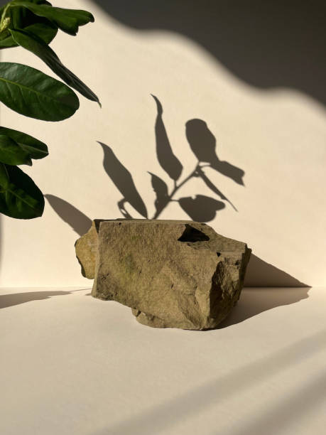 istock Stone podium on beige background and palm shadow. Product promotion.Front view, studio photography. 1477506540