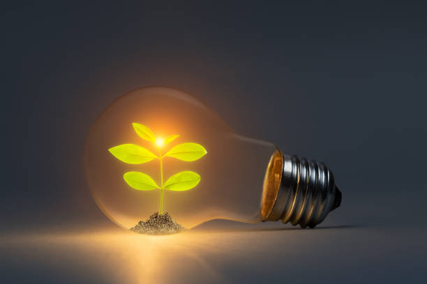 istock Green energy concept with classic light bulb and new life plant inside 1477507874