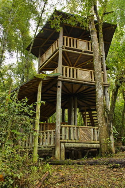 istock Observation tower in Mariposario de Mindo, Ecuador, South America 1477508243