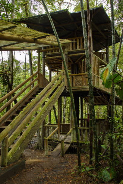 istock Observation tower in Mariposario de Mindo, Ecuador, South America 1477508251
