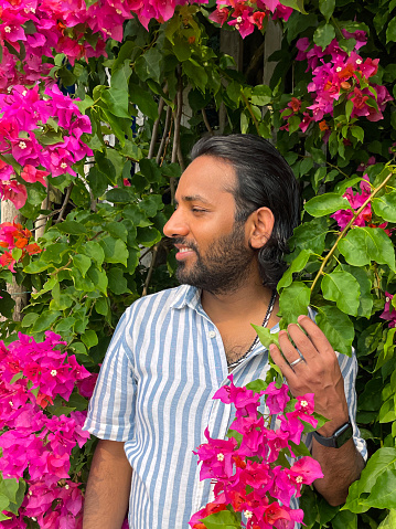Stock photo showing close-up view of Indian man posing looking at camera whilst standing with natural background of pink bougainvilleas flowers, bracts and petals.