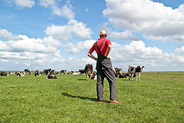istock Farmer looking at his cows in the countryside from Netherlands 147751080
