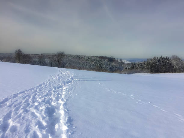 Winter in Troisvierges, Luxembourg (near Gouvy, Belgium) in Biwischerbësch