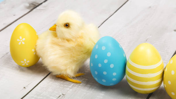 istock colored easter eggs in the nest with text happy easter and chick on a wooden background 1477512228