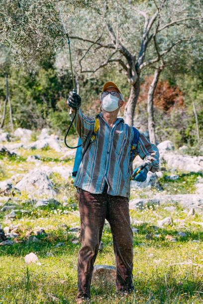 istock Farmer Spraying Trees in His Olive Grove 1477518414