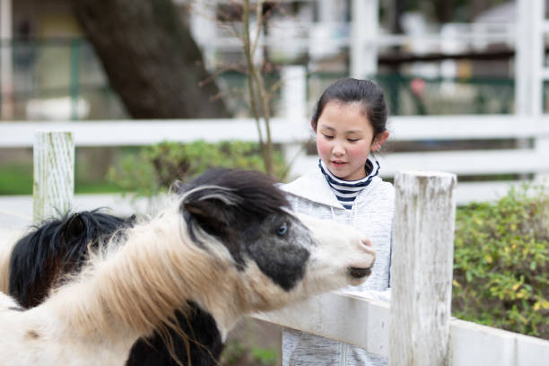 istock A girl who loves a pony 1477518634